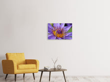 Laden Sie das Bild in den Galerie-Viewer, Leinwandbild 3-teilig XXL Seerose in lila