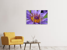 Laden Sie das Bild in den Galerie-Viewer, Leinwandbild 3-teilig XXL Seerose in lila