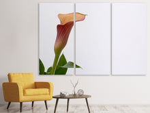 Laden Sie das Bild in den Galerie-Viewer, Leinwandbild 3-teilig Calla in XL