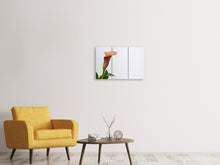 Laden Sie das Bild in den Galerie-Viewer, Leinwandbild 3-teilig Calla in XL