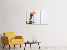 Laden Sie das Bild in den Galerie-Viewer, Leinwandbild 3-teilig Calla in XL