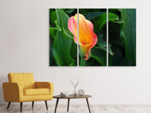 Laden Sie das Bild in den Galerie-Viewer, Leinwandbild 3-teilig Wilde Calla