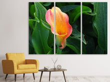 Laden Sie das Bild in den Galerie-Viewer, Leinwandbild 3-teilig Wilde Calla