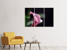 Laden Sie das Bild in den Galerie-Viewer, Leinwandbild 3-teilig Calla in lila