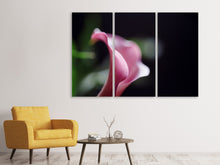 Laden Sie das Bild in den Galerie-Viewer, Leinwandbild 3-teilig Calla in lila