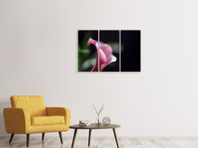 Laden Sie das Bild in den Galerie-Viewer, Leinwandbild 3-teilig Calla in lila