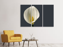 Laden Sie das Bild in den Galerie-Viewer, Leinwandbild 3-teilig Stolze Calla