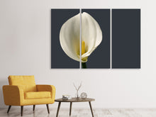 Laden Sie das Bild in den Galerie-Viewer, Leinwandbild 3-teilig Stolze Calla