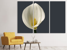 Laden Sie das Bild in den Galerie-Viewer, Leinwandbild 3-teilig Stolze Calla
