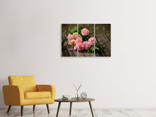 Laden Sie das Bild in den Galerie-Viewer, Leinwandbild 3-teilig Ein Rosenstrauss