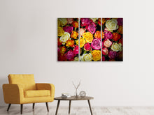 Laden Sie das Bild in den Galerie-Viewer, Leinwandbild 3-teilig Viele bunte Rosenblüten