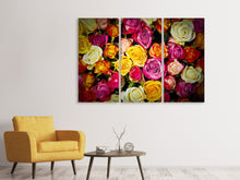 Laden Sie das Bild in den Galerie-Viewer, Leinwandbild 3-teilig Viele bunte Rosenblüten
