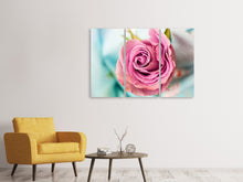 Laden Sie das Bild in den Galerie-Viewer, Leinwandbild 3-teilig Rosenblüte in rosa