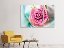 Laden Sie das Bild in den Galerie-Viewer, Leinwandbild 3-teilig Rosenblüte in rosa
