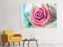 Laden Sie das Bild in den Galerie-Viewer, Leinwandbild 3-teilig Rosenblüte in rosa