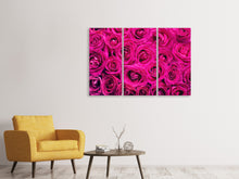 Laden Sie das Bild in den Galerie-Viewer, Leinwandbild 3-teilig Rosenblüten in pink