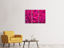 Laden Sie das Bild in den Galerie-Viewer, Leinwandbild 3-teilig Rosenblüten in pink