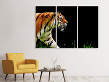 Laden Sie das Bild in den Galerie-Viewer, Leinwandbild 3-teilig Imposanter Tiger