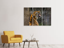 Laden Sie das Bild in den Galerie-Viewer, Leinwandbild 3-teilig Achtung Tiger