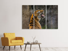 Laden Sie das Bild in den Galerie-Viewer, Leinwandbild 3-teilig Achtung Tiger