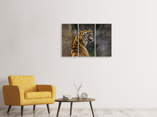 Laden Sie das Bild in den Galerie-Viewer, Leinwandbild 3-teilig Achtung Tiger