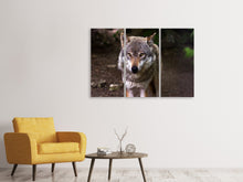 Laden Sie das Bild in den Galerie-Viewer, Leinwandbild 3-teilig Der böse Wolf