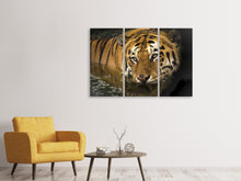 Laden Sie das Bild in den Galerie-Viewer, Leinwandbild 3-teilig Tiger im Wasser