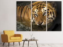 Laden Sie das Bild in den Galerie-Viewer, Leinwandbild 3-teilig Tiger im Wasser