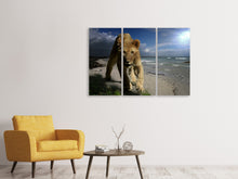 Laden Sie das Bild in den Galerie-Viewer, Leinwandbild 3-teilig Eine Löwin am Strand