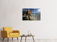 Laden Sie das Bild in den Galerie-Viewer, Leinwandbild 3-teilig Eine Löwin am Strand