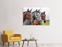 Laden Sie das Bild in den Galerie-Viewer, Leinwandbild 3-teilig Das Pferde Trio