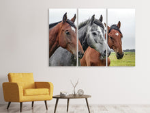 Laden Sie das Bild in den Galerie-Viewer, Leinwandbild 3-teilig Das Pferde Trio