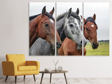 Laden Sie das Bild in den Galerie-Viewer, Leinwandbild 3-teilig Das Pferde Trio