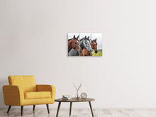 Laden Sie das Bild in den Galerie-Viewer, Leinwandbild 3-teilig Das Pferde Trio