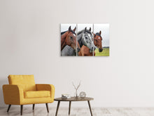 Laden Sie das Bild in den Galerie-Viewer, Leinwandbild 3-teilig Das Pferde Trio