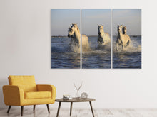 Laden Sie das Bild in den Galerie-Viewer, Leinwandbild 3-teilig Pferde im Meer