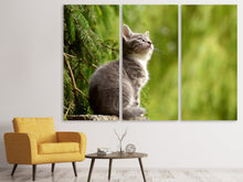 Laden Sie das Bild in den Galerie-Viewer, Leinwandbild 3-teilig Wildkatze