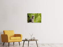 Laden Sie das Bild in den Galerie-Viewer, Leinwandbild 3-teilig Wildkatze