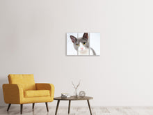 Laden Sie das Bild in den Galerie-Viewer, Leinwandbild 3-teilig Edle Katze