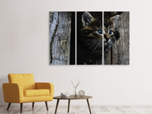 Laden Sie das Bild in den Galerie-Viewer, Leinwandbild 3-teilig Katzen Kind