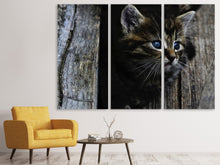 Laden Sie das Bild in den Galerie-Viewer, Leinwandbild 3-teilig Katzen Kind