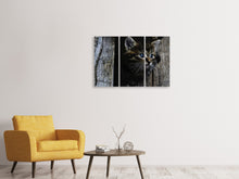 Laden Sie das Bild in den Galerie-Viewer, Leinwandbild 3-teilig Katzen Kind
