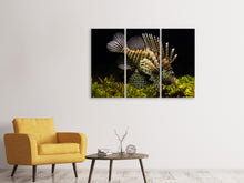 Laden Sie das Bild in den Galerie-Viewer, Leinwandbild 3-teilig Lion Fisch