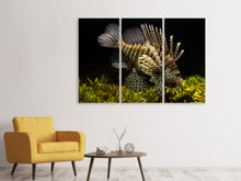 Laden Sie das Bild in den Galerie-Viewer, Leinwandbild 3-teilig Lion Fisch
