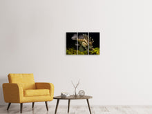 Laden Sie das Bild in den Galerie-Viewer, Leinwandbild 3-teilig Lion Fisch