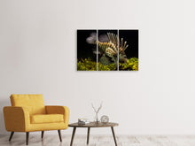 Laden Sie das Bild in den Galerie-Viewer, Leinwandbild 3-teilig Lion Fisch