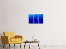 Laden Sie das Bild in den Galerie-Viewer, Leinwandbild 3-teilig Im Haifischbecken