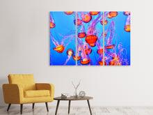 Laden Sie das Bild in den Galerie-Viewer, Leinwandbild 3-teilig Bunte Quallen