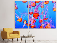 Laden Sie das Bild in den Galerie-Viewer, Leinwandbild 3-teilig Bunte Quallen