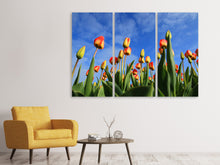 Laden Sie das Bild in den Galerie-Viewer, Leinwandbild 3-teilig Tulpen ragen zum Himmel